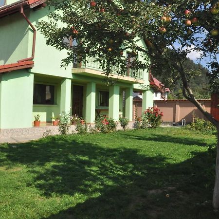 Hotel Vilman House Rîşnov Exterior foto