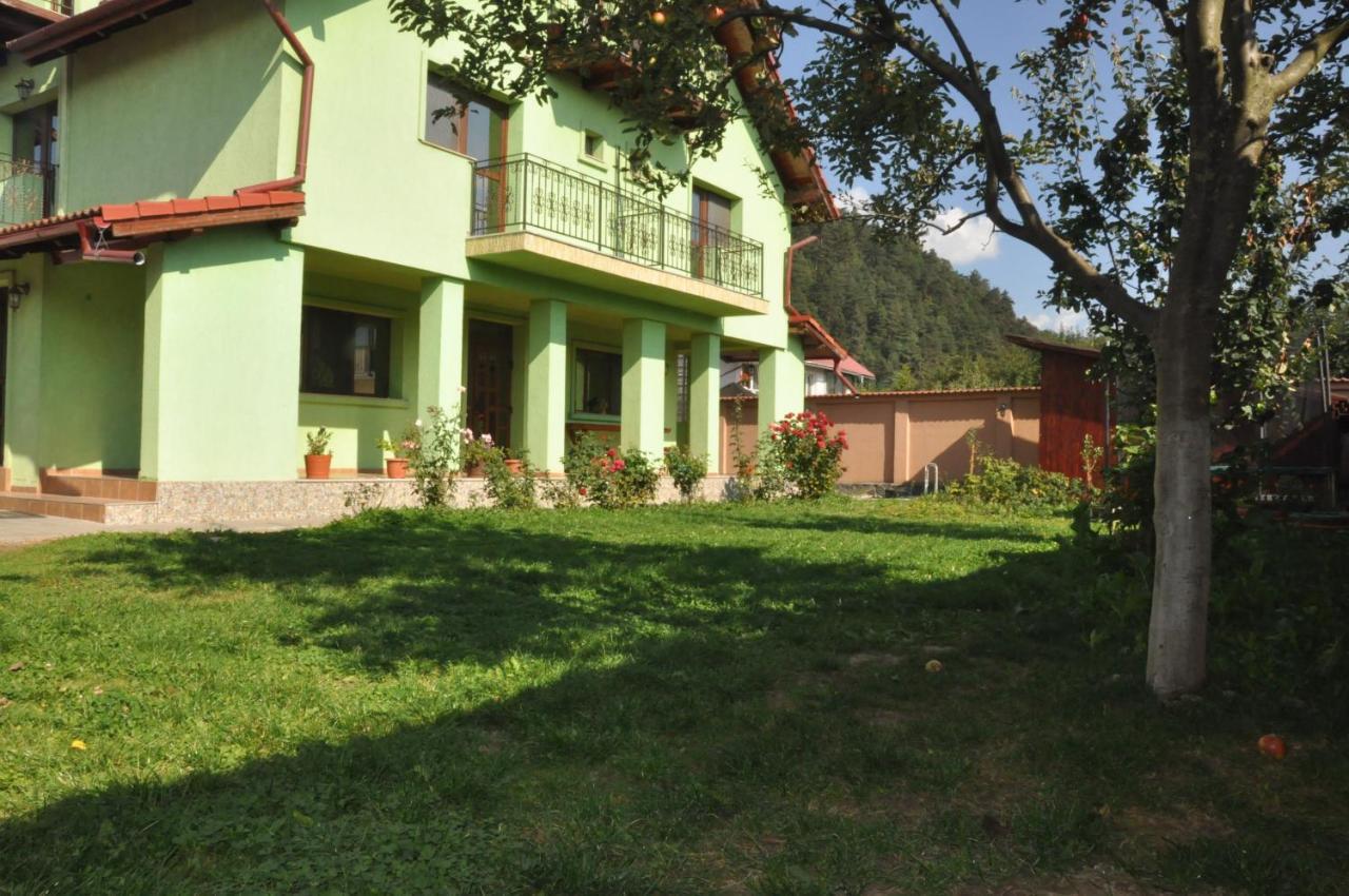 Hotel Vilman House Rîşnov Exterior foto